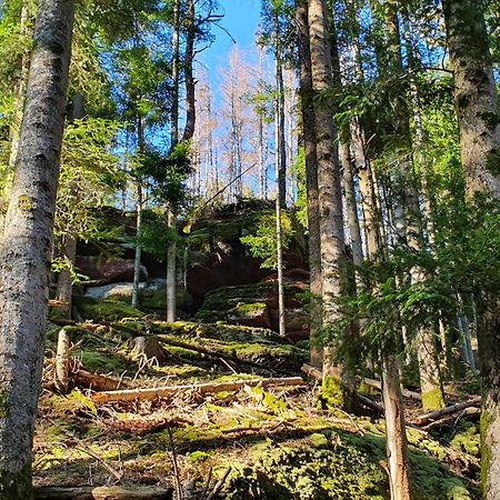La Gambas Des Bois Saint-Quirin Exterior foto